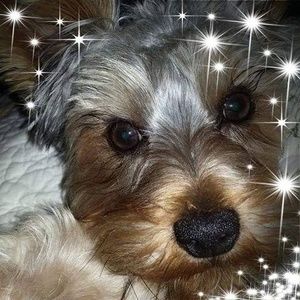 Meet your Posher, Shellie